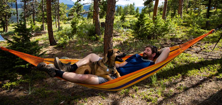 Josh Gable laying in a hammock with his dog in the woods.